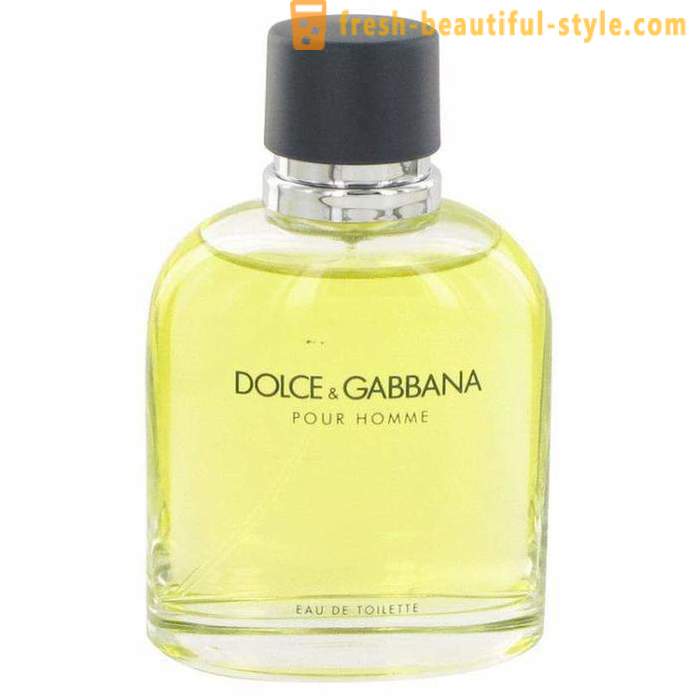 Eau de toilette spéciale « Dolce Gabbana »: l'histoire et les saveurs